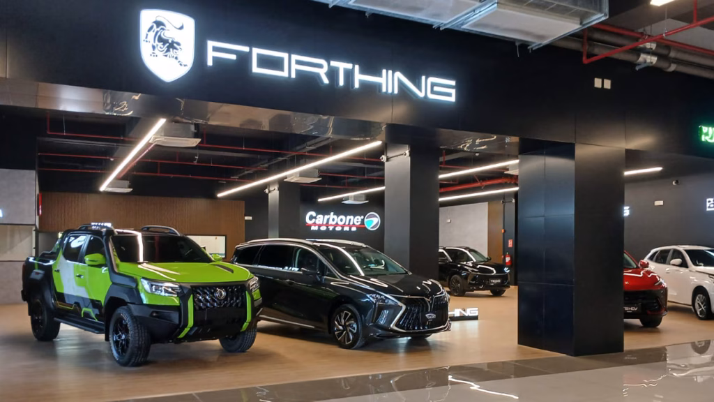 wev federal maal Dongfeng Forthing Panama | Carbone
